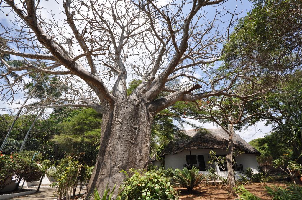 Baobab Sea Lodge Kilifi Luaran gambar